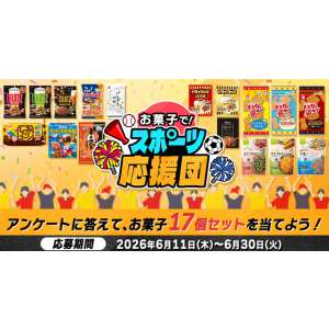 スポーツ観戦にぴったりなお菓子17品詰合