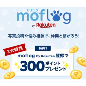 楽天ポイント300ポイント