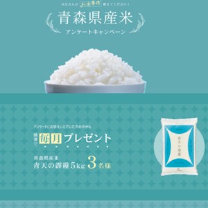 青森県産米「青天の霹靂」5kg