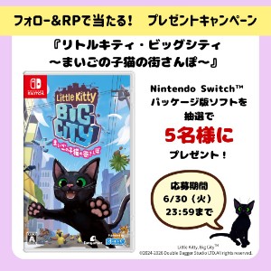 Nintendo Swichソフト