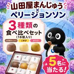 山田屋まんじゅう3種類の食べ比べセット