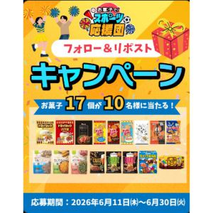 スポーツ観戦にぴったりなお菓子17品詰合