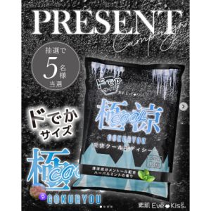 賞品画像：極涼COOL ドでかサイズ ボディシート