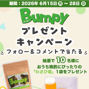 海苔チップス「Bumpy」わさび塩味
