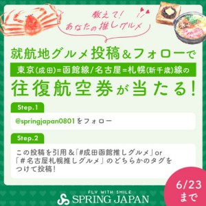 東京⇔函館 往復航空券 他