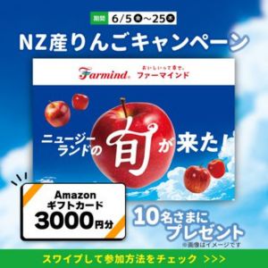 Amazonギフトカード3,000円分