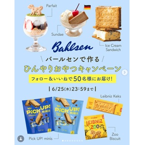 バールセン ビスケットセット
