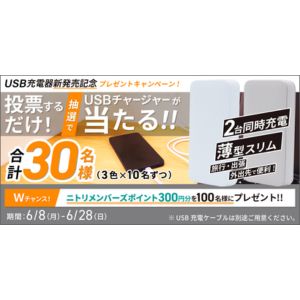USB薄型65W急速充電器 他