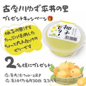 南紀わかやま古座川町産　柚子ゼリー