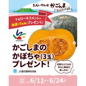 かごしまのかぼちゃ 3玉