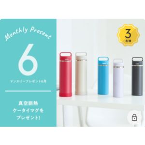 THERMOS 真空断熱ケータイマグ
