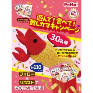 ビッグけりぐるみ＆乾しカマ詰め合わせセット