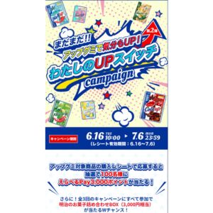 えらべるPay 3,000ポイント 他