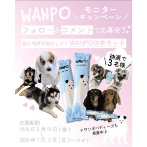 人もペットも使える紙おしぼりWANPO10本