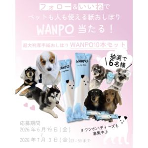 人もペットも使える紙おしぼりWANPO10本