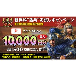 えらべるPay1万円分 他