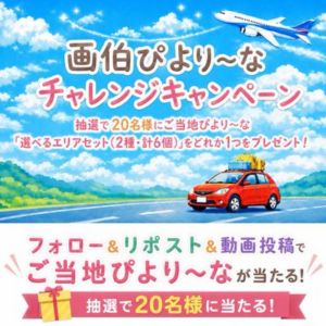 選べるご当地ぴより～なセット（2種・計6個）
