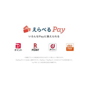 えらべるPay 100円分