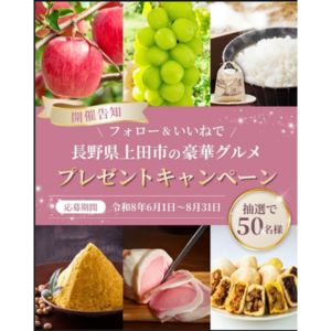 信州産りんご5kg 他