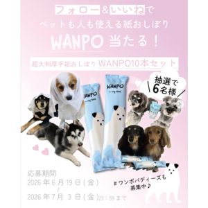 ペットも人も使える紙おしぼり「WANPO」10本セット