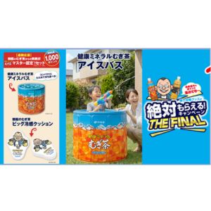 アイスバス、冷感クッション他