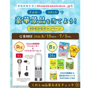 ダイソンファンヒーター&ドライヤー 他