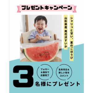 山形県産 尾花沢すいか