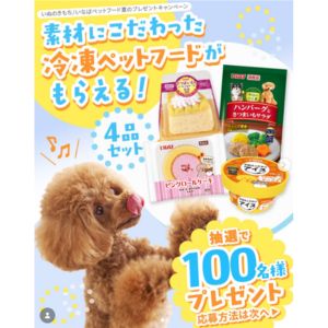 冷凍ドッグフード4品詰め合わせ