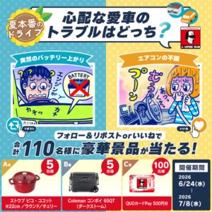 鋳物ホーロー鍋「ストウブ ピコ・ココット」 他