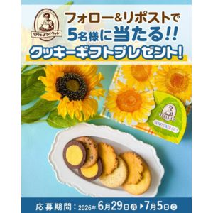 クッキー ギフト「サンフラワーギフト（M）」