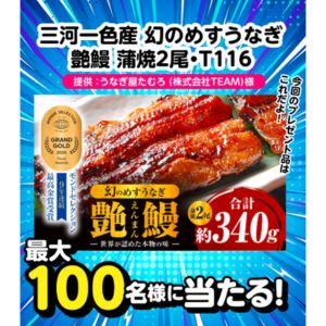 三河一色産 うなぎ「艶鰻」蒲焼2尾