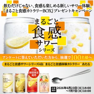 まるごと食感カトラリーBOX