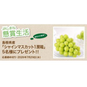 島根県産シャインマスカット1房箱