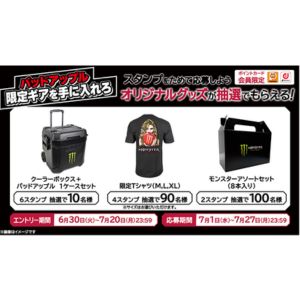 賞品画像：モンスター オリジナルクーターボックス　他