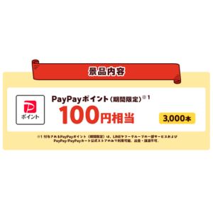 PayPayポイント100円相当