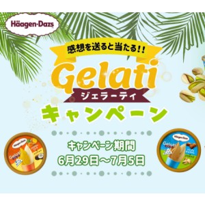 ハーゲンダッツ詰め合わせ 他