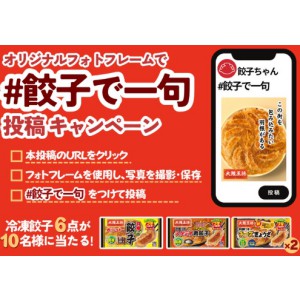 大阪王将 冷凍餃子6点セット