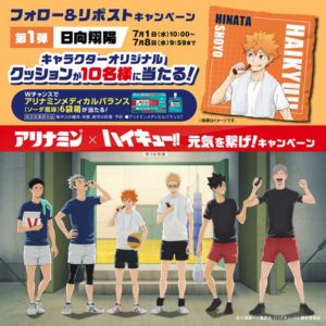 ハイキュー!! オリジナルクッション 他