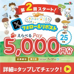 えらべるPay5,000円分