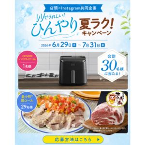 COSORIノンフライヤー6L 他