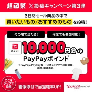PayPayポイント1万円分
