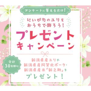 新潟県産阿賀北ポーク ロース500g 他