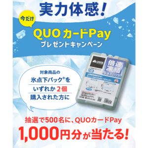 QUOカードPay 1,000円分