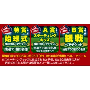 埼玉西武ライオンズ観戦チケット