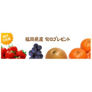 福岡のいちじく「とよみつひめ」