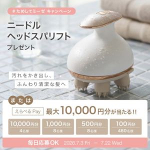 ミーゼ ニードルヘッドスパリフト 他