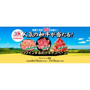 宮崎牛サーロインステーキ用170g×4枚 他