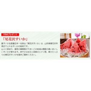 尾花沢すいか 2Lサイズ1玉