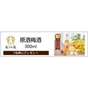 五代庵「原酒梅酒 300ml」