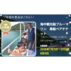 海中観光船ブルーマリン　乗船ペアチケット